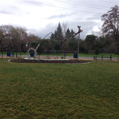 Beaver-Splash-Jump-Dog