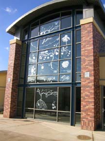 Blossom Hill Vine and Wonder Gate