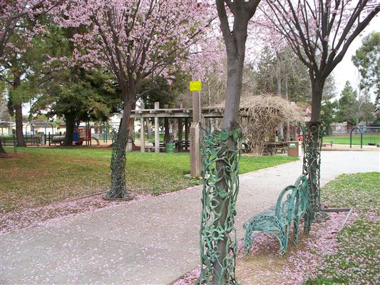 Commemoration to Carol Murdock