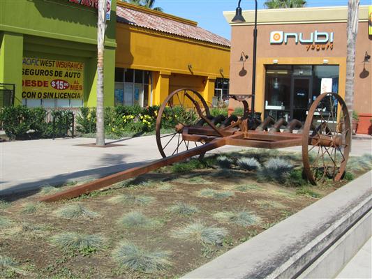 Cultivating Community