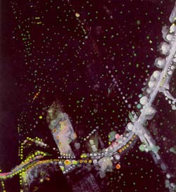 Hilton Hotel Collection