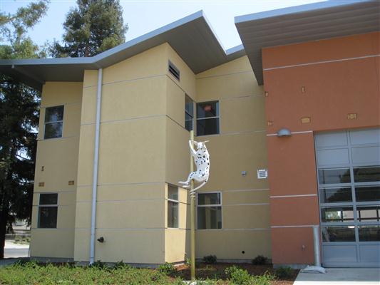 Spring-tailed Dalmatian